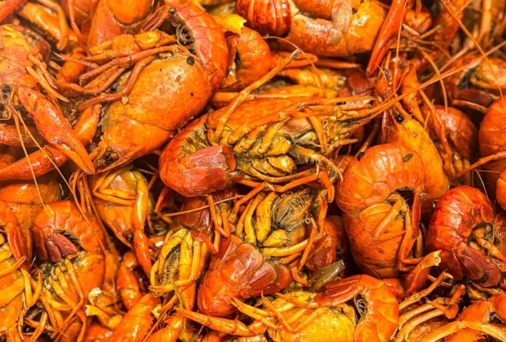 Spice Up Lent Crawfish Fridays at Las Cruces Tex Mex Are Back! - mexican restaurant metairie - las cruces tex mex